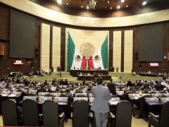 Cmara de Diputados SAM 0507